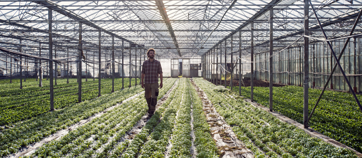 man-walking-in-greenhouse-normalized